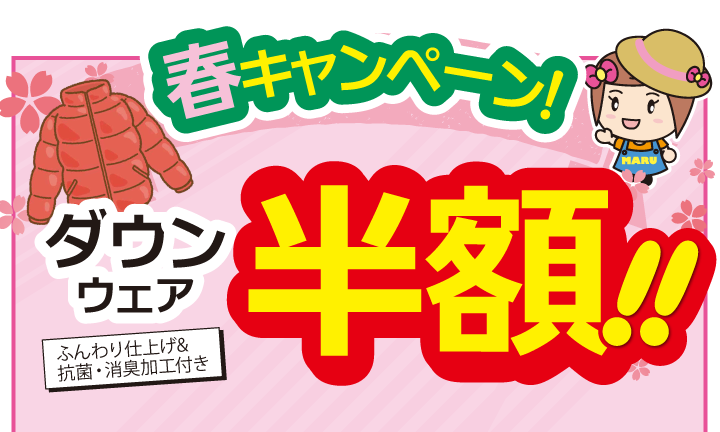 ダウンウェア半額キャンペーン実施中